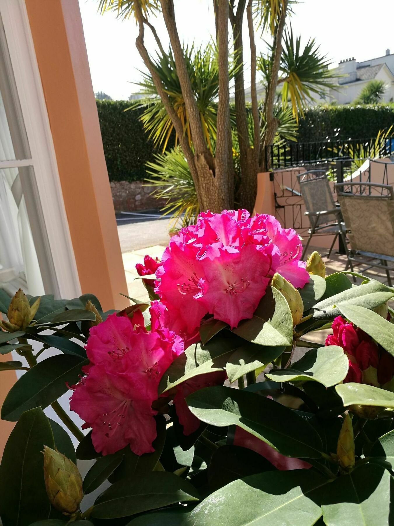 The Devon Court Hotell Torquay Eksteriør bilde